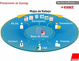 Gestión Automatizada de Cobros, Pagos y Stocks para optimización del flujo de caja. Exact Software. Screencast de 40 minutos.