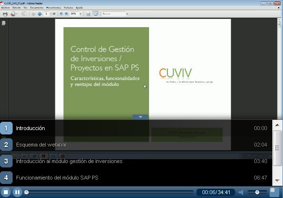 Gestión de inversiones y proyectos con SAP PS. Webinar de 40 minutos. Por Cuviv.com