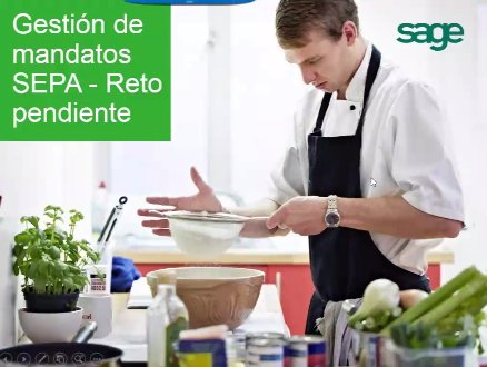 Gestión de mandatos SEPA, reto pendiente de las empresas. Webinar de 1 hora.