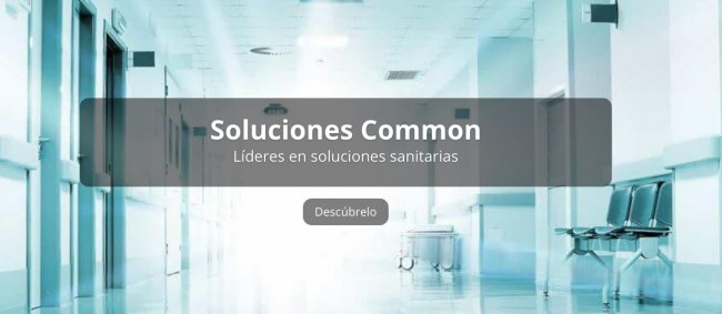 Common MS y Excelia implantarán conjuntamente SAP en Hispanoamérica